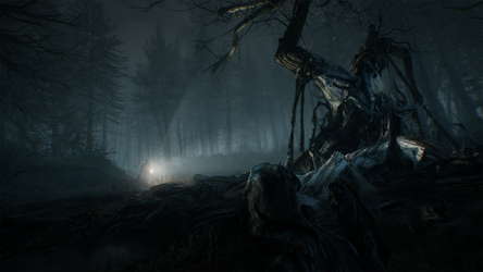 Blair Witch screenshot 7